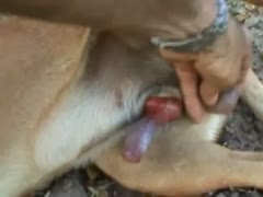 Muscular dick loving guy exposes himself outdoors for hardcore sex with family pet 
